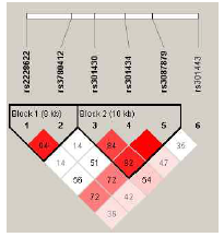 LD patterns of SLC1A1