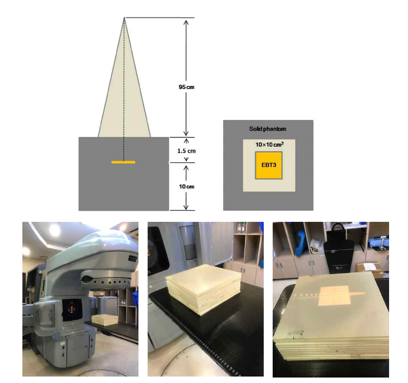 6MV X-선 튜브를 이용한 EBT3 필름 캘리브레이션