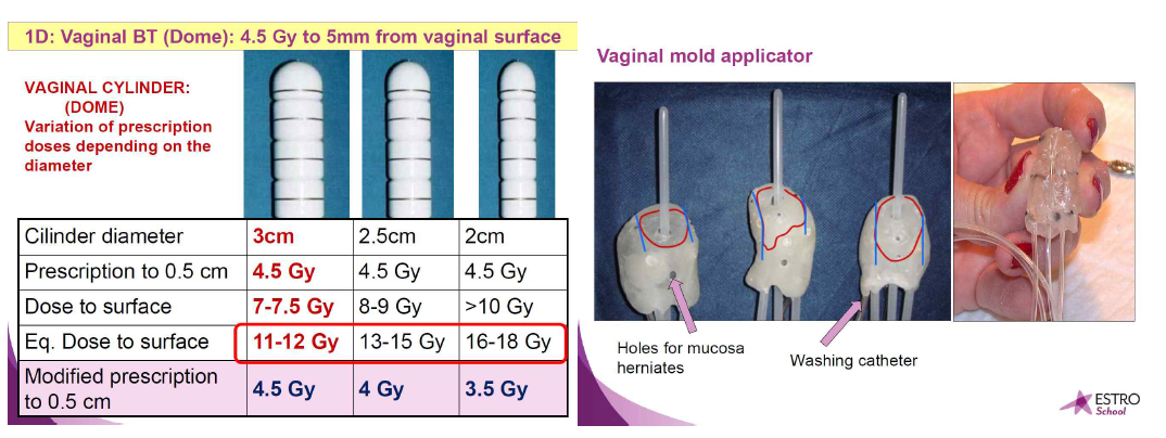 applicator 에 따른 처방 선량 확인 및 vaginal mold applicator