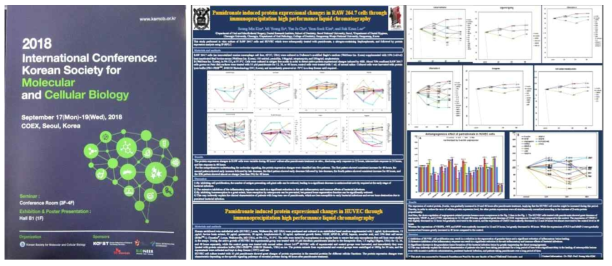 KSMCB 2018 International conference 초록집 표지 및 발표한 포스터