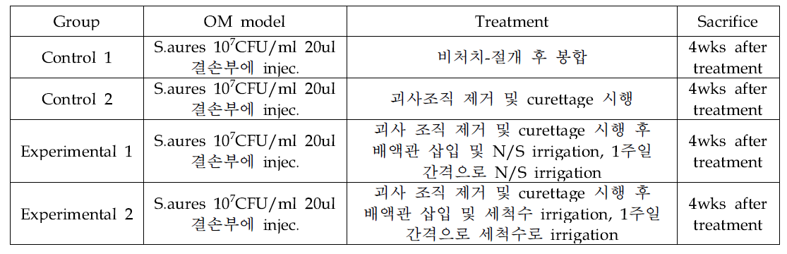 동물실험모델의 대조군과 실험군의 예시