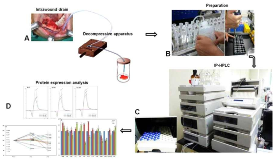 감압기를 통해 배농시킨 삼출액을 IP-HPLC 를 통한 Protein expression profile을 직접 확인함으로서 앞으로 개발할 세척수 등의 효과를 직접 확인하고, 병소 부위의 치유과정 등을 수치화된 데이터로 분석하는 전 과정의 모습