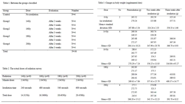 비교 분석한 군별 조건과 실제 측정된 방사선량 및 체중변화에 대한 도표