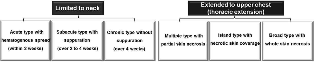 Schematic representation of CNF classification based on clinical appearances limited to the neck and extended to the upper thoracic region