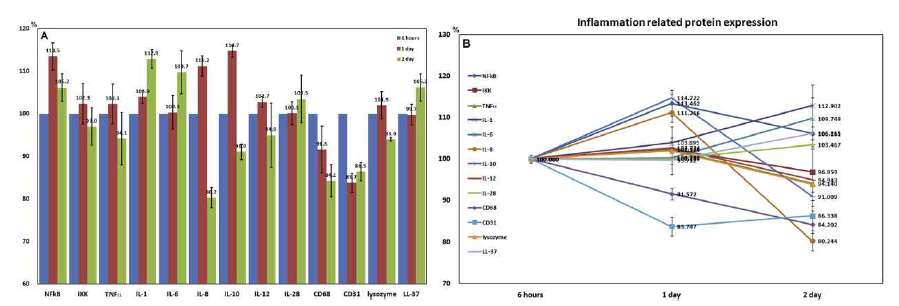 Graphs plotted with the results of IP-HPLC analysis for the expression of inflammation-related proteins in the CSO POE at 6 h, 1 day, and 2 days post-surgery. A and B: Bar and line graphs, respectively, plotted with the same data, which were collected in triplicate. The CSO POE at 6 h showed the primary status of bony inflammation just after the surgical treatment, and it was used as a control in this study. In the CSO POE, the expressions of TNF-a, IL-8, IL-12, and lysozyme were slightly higher than the control until 1 day postoperative, but became lower than the control at 2 days postoperative, and the expression of macrophage factors, CD31 and CD68, were markedly decreased 1 day postoperative and remained reduced 2 days postoperative compared to the control. The expressions of innate immunity-related proteins, IL-1, IL-6, IL-28, and LL-37, were gradually increased at 2 days postoperative compared to the control, while the expression of inflammation inhibitory factor, IL-10, was markedly increased 1 day postoperative but rapidly decreased to the control level by day 2. The regulating proteins for immune reaction, NFkB, was slightly increased, but its inhibitor protein, IKK, was slightly decreased 2 days postoperative compared to the control