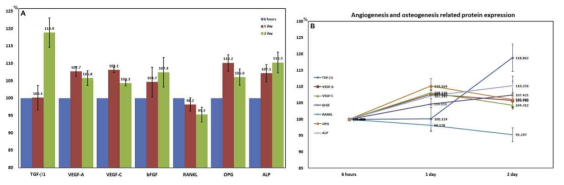 Graphs plotted with the results of the IP-HPLC analysis for angiogenesis- and osteogenesis-related protein expression in the CSO POE 6 h, 1 day, and 2 days after surgery. A and B: Bar and line graphs, respectively, plotted with the same data, which were collected in triplicate. The CSO POE at 6 h showed the primary status of bony inflammation just after the surgical interventions, and it was used as a control in this study. The CSO POE showed consistently increased expression of angiogenesis-related proteins, VEGF-A, VEGF-C, and bFGF, and remarkably increased expression of TGF-b1 at day 2 compared to the control. In addition, the CSO POE showed slightly increased expression of osteogenesis-related proteins, OPG and ALP, but decreased expression of RANKL at day 2 compared to the control