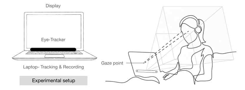 Experimental setup