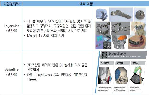 국외 의료기기 3D프린팅 서비스 제공 주요업체 (출처: 알기 쉬운 의료기기 3D프린팅 기술의 이해, 식약처)