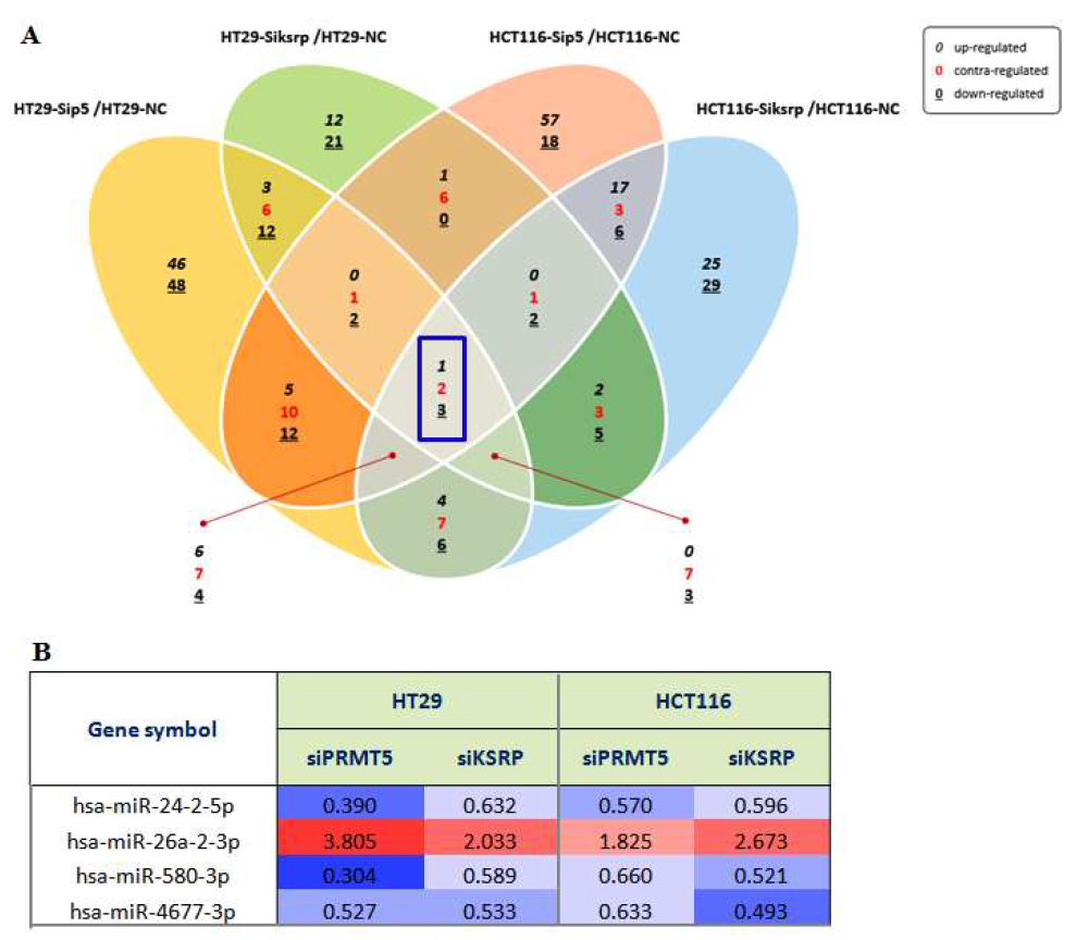 HCT116과 HT29세포에서 KSRP 및 PRMT5 발현억제에 의해 조절되는 miRNA