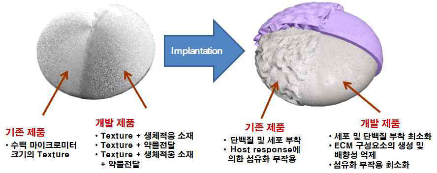 본 과제에서 개발되어질 섬유화 억제 실리콘 보형물의 개요도