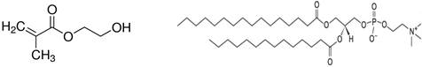 2-hydroxyethyl methacrylate, 1-hexadecanoyl– 2-tetradecanoyl-sn-glycero-3-phosphocholine