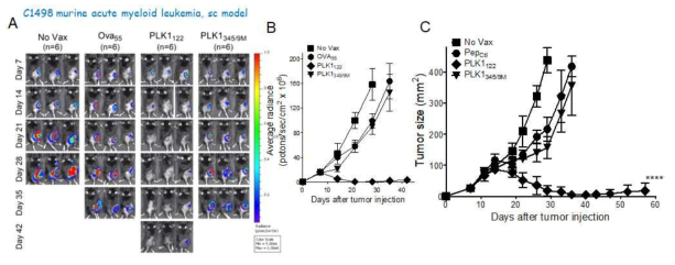 DC-prime/TriVax vaccination with mPLK1122 epitopes results in strong antitumor effects against established C1498 leukemia. B6 mice were inoculated subcutaneously on day 0 with 2 x 106 live luciferase-expresssing C1498 cells, and vaccinated intravenously on day 7 and 14 with peptide-pulsed DC and TriVax, respectively. A non-vaccinated group (No Vax) was included as controls. A. Time course of bioluminescence (BLI) in representative individual mice from all treatment groups. B. Tumour growth was monitored by in vivo bioluminescence imaging. C. Tumor growth in mice treated with control (No Vax), OVA55, mPLK1122 or mPLK1345/9M-vaccinated group