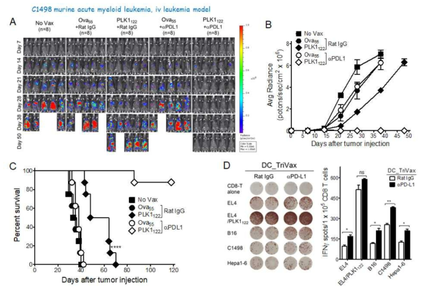 Heterologous vaccination with mPLK1122-DC-prime/TriVax prolongs survival of mice with C1498 leukemia. B6 mice were inoculated intravenously on day 0 with 2 x 106 live luciferase-expresssing C1498 cells, and vaccinated intravenously on day 7 and 14 with peptide-pulsed DC and TriVax, respectively. For PD-1 blockade, anti-PD-L1 Abs were administered intraperitoneally (200 μg/dose) on days 0 and 2 after each immunization (prime and boost). A non-vaccinated group (No Vax) was included as controls. A. Time course of bioluminescence (BLI) in representative individual mice from all treatment groups. B. Tumour growth was monitored by in vivo bioluminescence imaging. C. Kaplan–Mayer survival curves for all groups of mice. D. The presence of antigen-specific CD8 T cell reponses in spleen were evaluated by IFNγ EliSpot assay with peptide-pulsed EL4 cells, B16 melanoma, Hepa1-6 hepatoma, and C1498 leukemia cells as indicated. Un-pulsed EL4 cells were used as controls