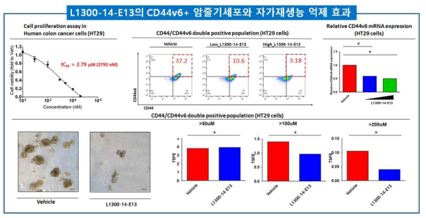 후보약물의 CD44v6+ 암줄기세포와 자가재생능 억제 효과