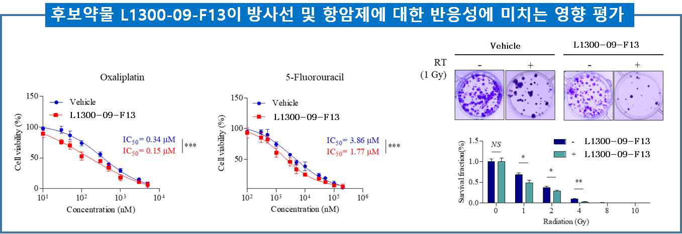 L1300-09-F13이 방사선 및 항암제에 대한 반응성에 미치는 영향 평가