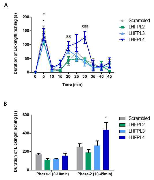 LHFPL2, LHFPL3, LHFPL4가 inflammatory pain에 영향을 미치는지 알아보기 위해서 Formalin test를 진행하였음. (A) 6주령 Normal mouse에 Scrambled RNA (3 μ g)와 LHFPL2 siRNA #2, LHFPL3 siRNA #1, LHFPL4 siRNA #1 (3 μg)을 Intrathecal에 주사한 뒤 48시간 후에 5% Formalin 20 μl를 발바닥에 주사한 직후부터 45분 동안 녹화하였고 5분 간격으로 licking, flinchin의 소요시간을 측정하였음. (*p<0.05; Scrambled vs. LHFPL2, #p<0.05; Scrambled vs. LHFPL3, $$p<0.01; Scrambled vs. LHFPL4, $$$p<0.001; Scrambled vs. LHFPL4, Two-way ANOVA) (B) 시간에 따라 Phase-1과 Phase-2로 나눠서 licking, flinching 소요시간의 합계를 평균값으로 나타냄. (*p<0.05; Scrambled vs. LHFPL4, Two-way ANOVA)