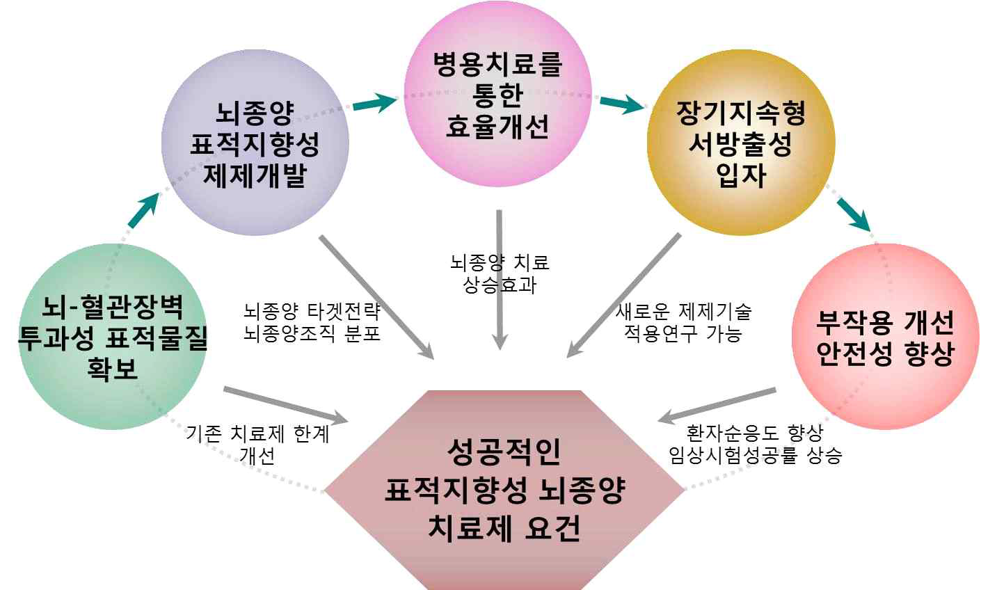 표적지향성 뇌종양 치료제 개발을 위한 필수 요건