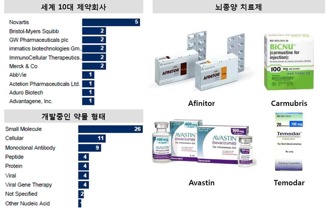 뇌종양 치료제 및 개발 중인 뇌종양 치료제