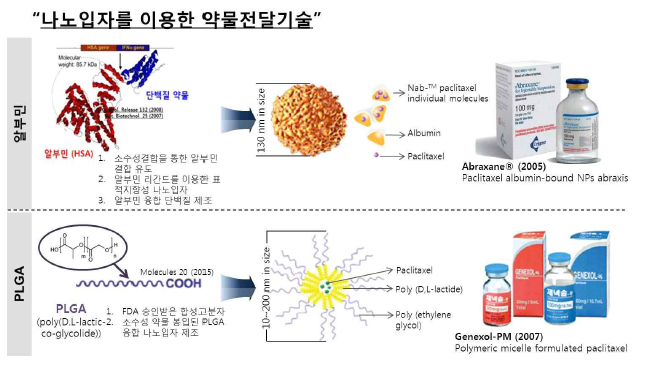 나노입자를 이용한 약물전달기술과 시판제제