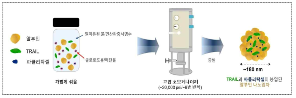 알부민 나노입자의 제조과정