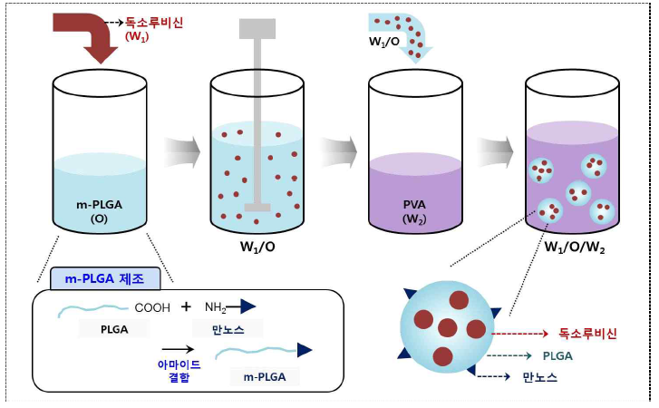 m-PLGA 나노입자 제조방법