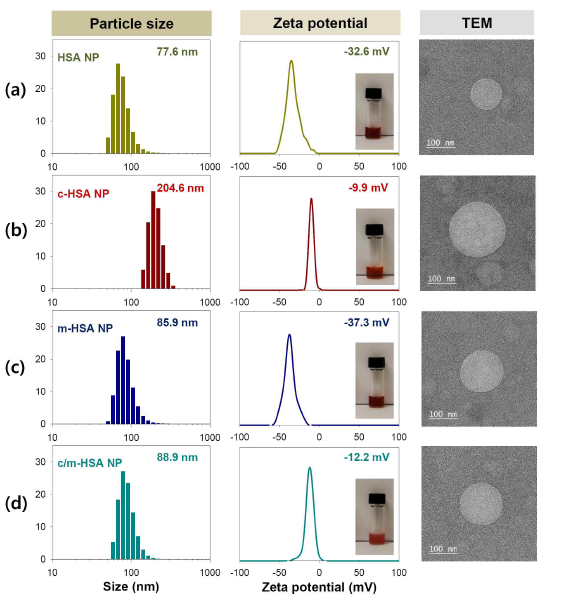 HSA NP, c-HSA NP,m-HSA NP 및 c/m-HSA NP의 입 도분석, 제타전위 분석 및 TEM 이미지 (transmission electronmicroscopy): (a) HSA NP, (b) c-HSANP, (c) m-HSANP, (d) c/m-HSA NP. Insets are the respective photographs of the Dox-loaded HSA NPs