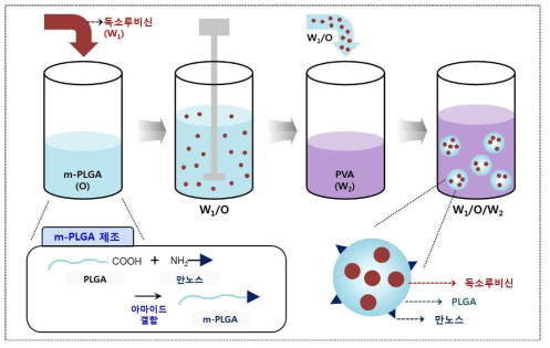 m-PLGA 나노입자 제조법 및 타겟팅 응용