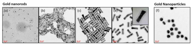 각 단계 (a, b, c 및 e)와 금나노막대의 형태 (TEM 이미지)