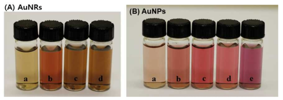 (A) 금나노막대와 (B) 구형 금나노입자의 각 합성 단계
