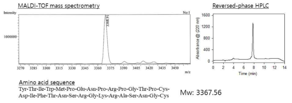 RVG29의 MALDI-TOF 및 HPLC 분석