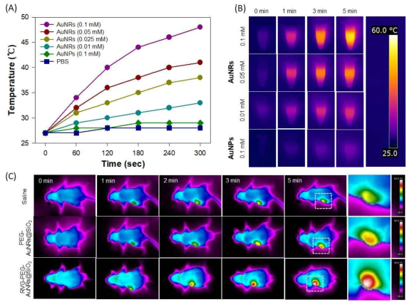 (A) 금나노막대와 구형 금나노입자의 NIR 레이저 조사 후 (808 nm) 의 표면 온도 변화. (B) 열화 상 카메라를 사용하여 NIR 레이저 조사 후 금나노막대와 구형 금나노입자 여러 농도에서 열 화상 이미지. (C) RVG-PEG-AuNRs@SiO2, PEG-AuNRs@SiO2 및 PBS 완충액으로 처리 후 광열 치료한 종양 유발된 마우스의 열화상 이미지
