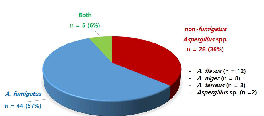 배양양성 침습성 아스페르질루스증의 Aspergillus species에 따른 분포