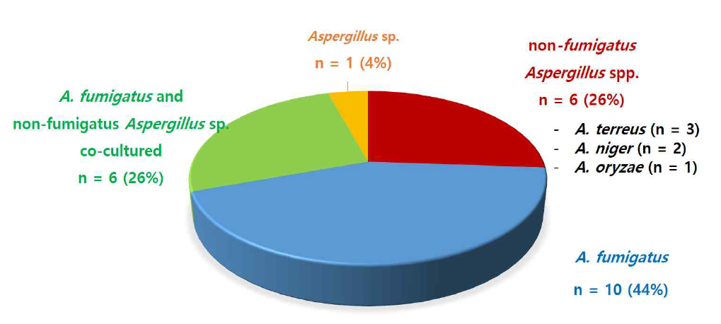 배양양성 침습성 아스페르질루스증의 Aspergillus sp.에 따른 분류