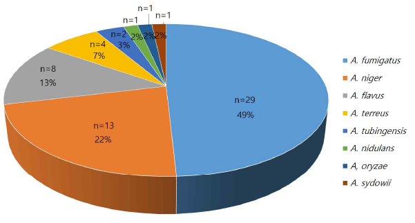 Distribution of pathogenic Aspergillus species