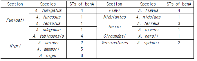 구축된 Aspergillus 라이브러리 균주들의 section, species, benA 유전형