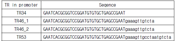 현재까지 보고된 Cyp51A promoter의 Tandem repeat(TR) 종류
