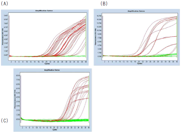 real time PCR for Fumigati(A), Nigri(B) and Flavi(C)