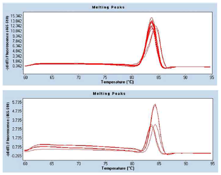 A. fumigatus L98H mutation detection and A. tubingensis detection real time PCR