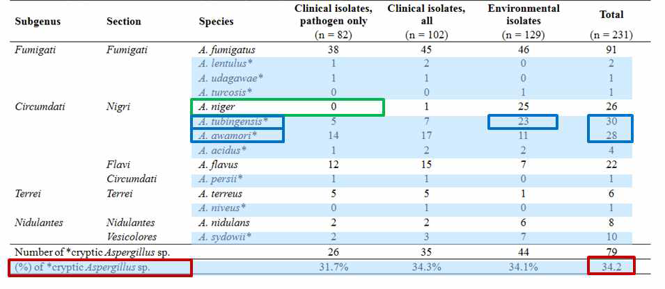 유전자 분석법을 활용한 Aspergillus 분리주에서 cryptic species 분석