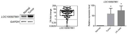 64명의 갑상선암 환자의 갑상선암 조직과 주변의 정상 갑상선 조직에서 LOC100507661의 발현정도 및 림프전이가 있는 환자에서의 LOC100507661의 발현정도