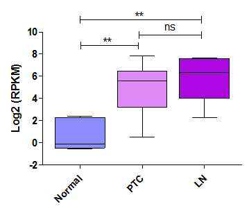 GDF-15 mRNA expression