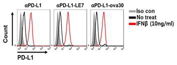 PD-L1 항체 제재의 세포표면 결합능 확인실험