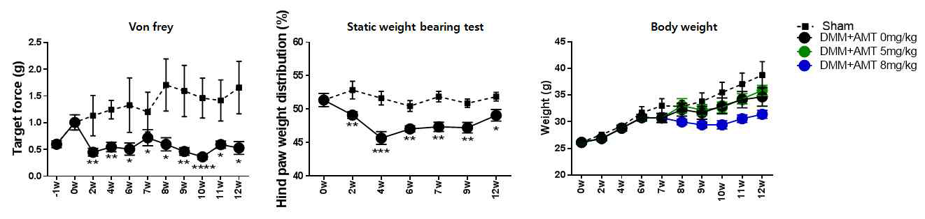 AMT 투여 동안의 sham군과 DMM군의 통증 비교 및 체중 변화 확인