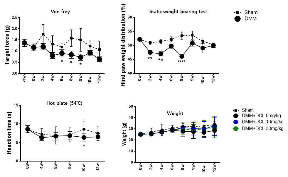DCL 투여전 sham군과 DMM군의 관절 통증 비교 및 DCL 투여에 의한 체중 변화 추이
