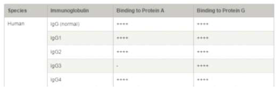 Affinity of protein A/G for IgG types from different species