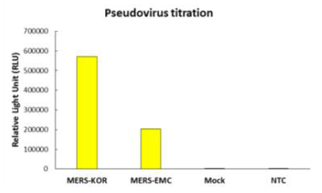 Pseudovirus titer 결과측정