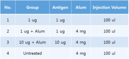 최종 백신 후보군 면역원성 평가 Mouse 실험 Group