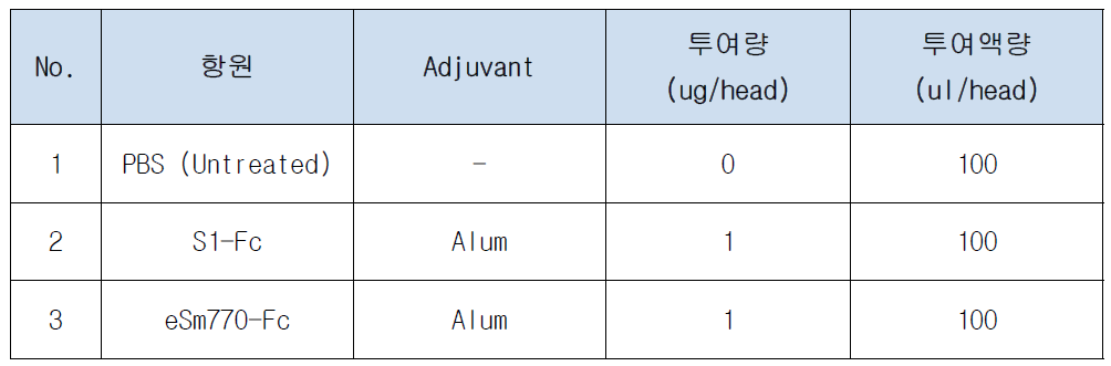 백신 효능 평가를 위한 마우스 면역화 계획