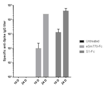 MERS-CoV spike protein에 대한 특이 IgG 항체가 측정