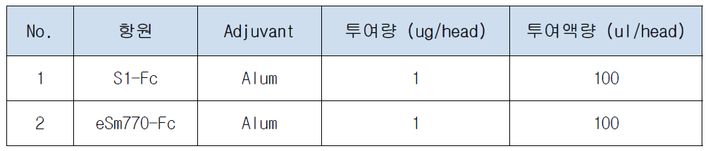 면역 지속성 평가를 위한 마우스 면역화 계획